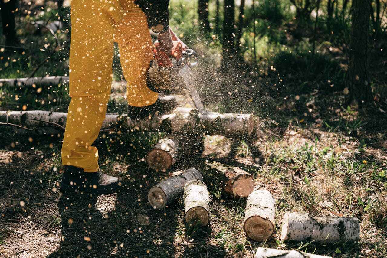 Best Tree Cutting Near Me  in Alliae, NC